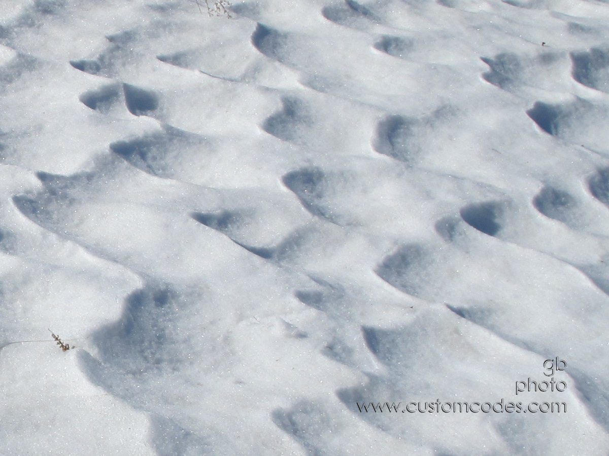 snowWaves_20110219