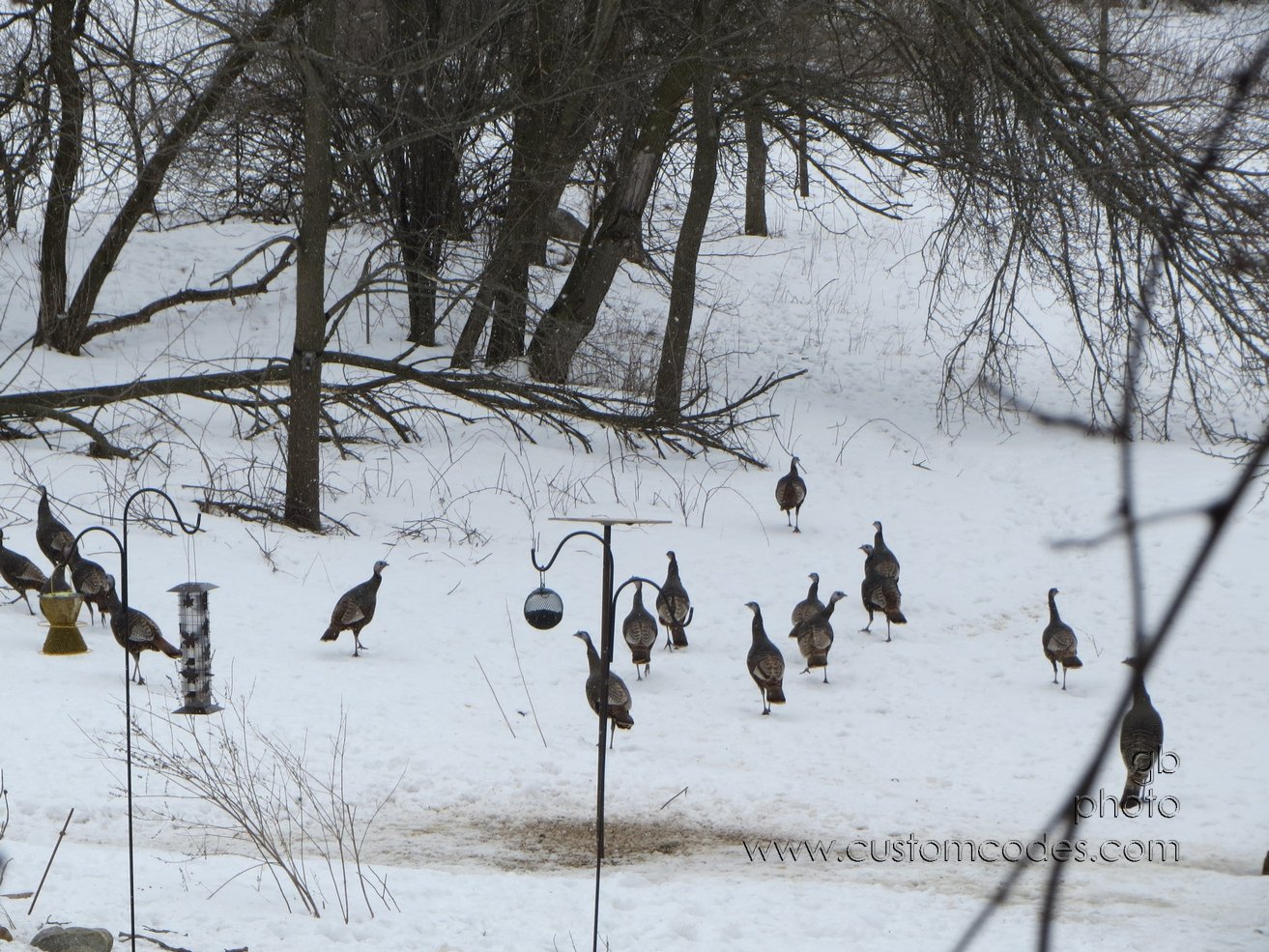 DinnersOver_20130314