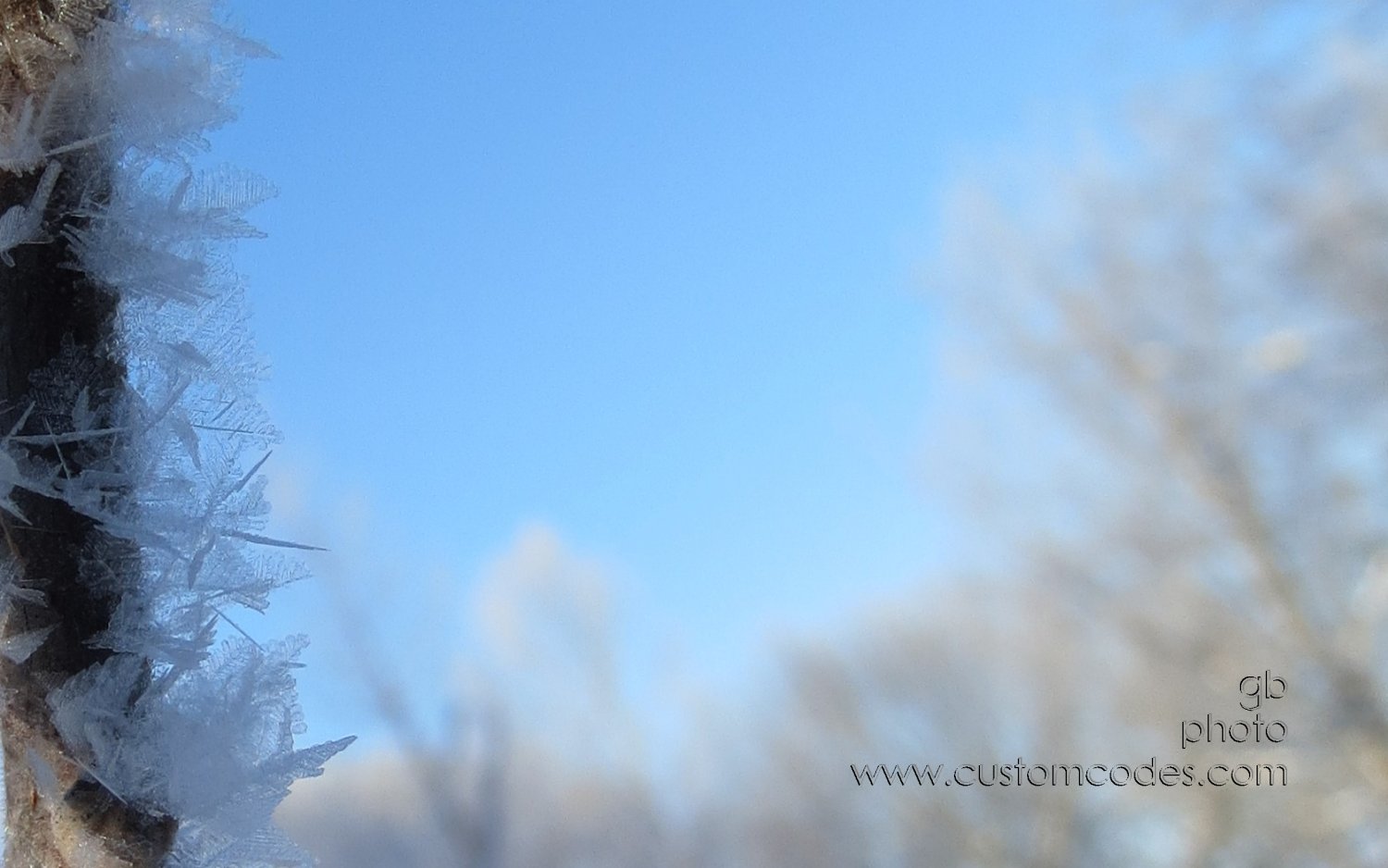 ice_20121230_15