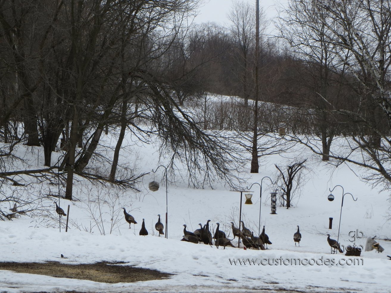 turkeyDinner_20130314